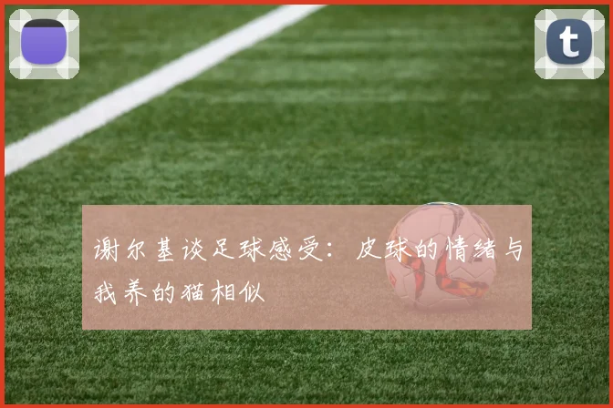 谢尔基谈足球感受：皮球的情绪与我养的猫相似
